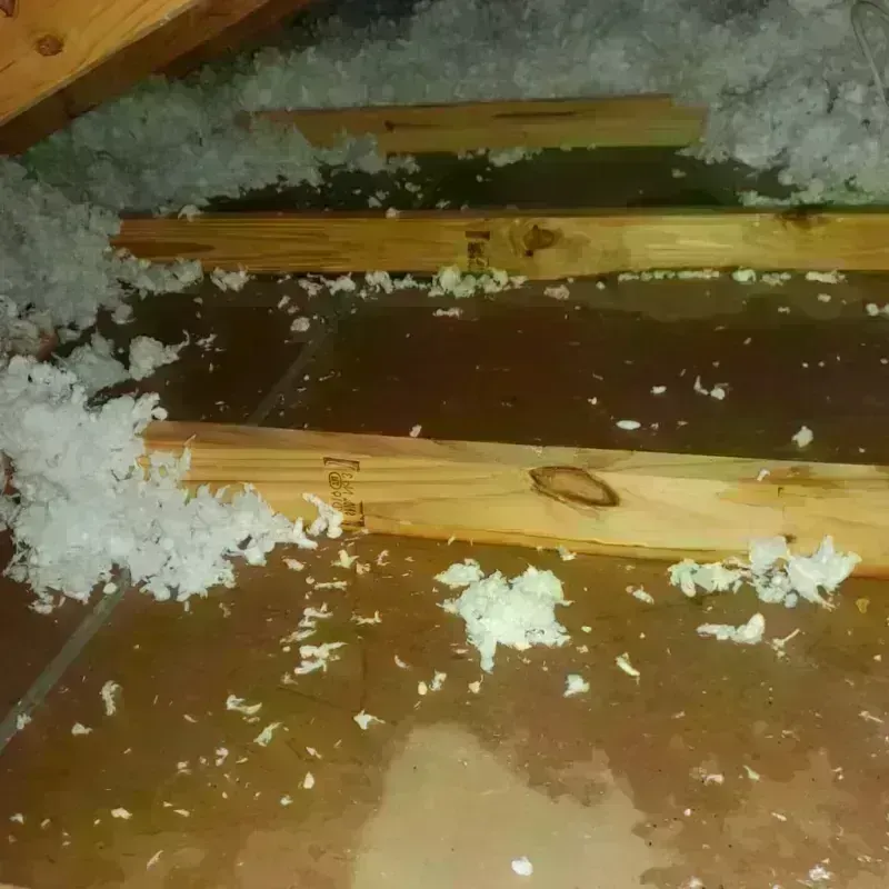 Attic Water Damage in Sunland Park, NM