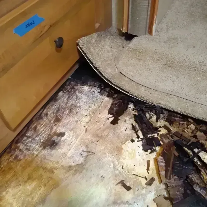 Best Wood Floor Water Damage Service in Sunland Park, NM